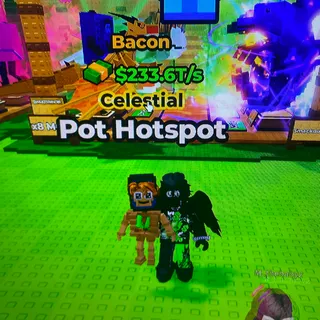 Pot Hotspot Bacon