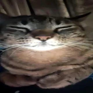 Some Guy Called Dubs Bundle