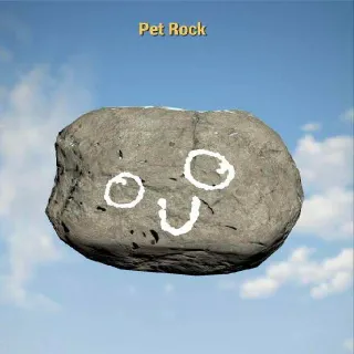 Pet Rock