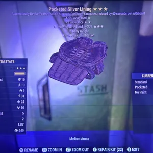 pocketed sliver lining