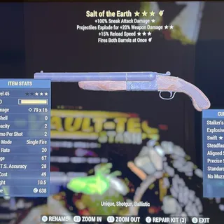 salt of the earth