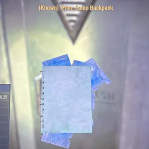 camo backpack