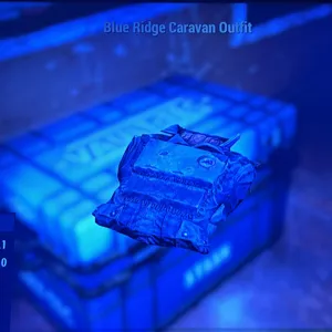 blue ridge outfit + mask