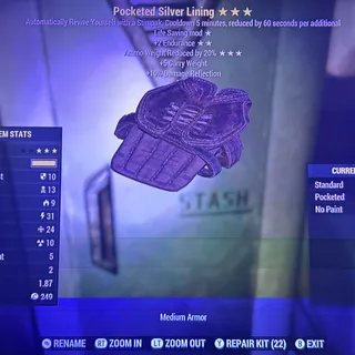 pocketed sliver lining