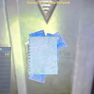 camo backpack