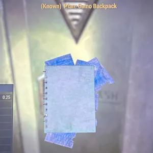 camo backpack