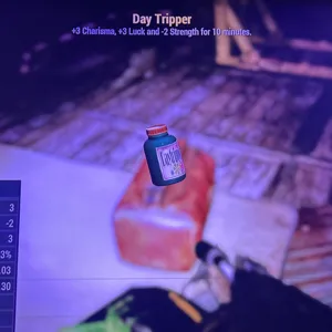 500 day tripper