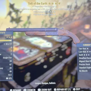 salt of the earth