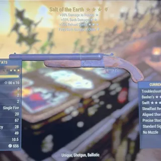 salt of the earth