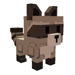 RACCOON