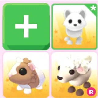 cute pet bundle!! adm