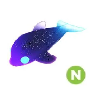 Glormy Dolphin Neon