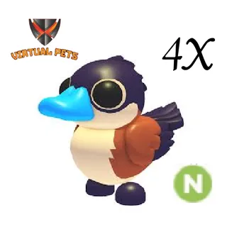 Ruddy Duck Neon 4X
