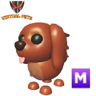 Irish Setter Mega