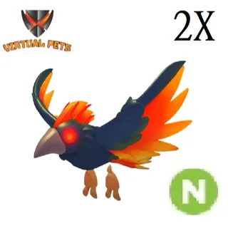Storm Condor Neon 2X
