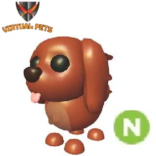 Irish Setter Neon