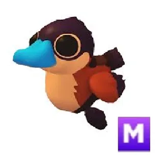 Ruddy Duck Mega