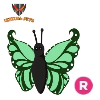 Green Butterfly R