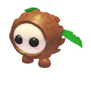 Coconut Friend