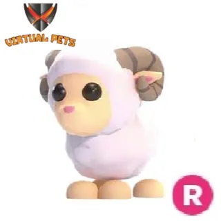 Ram R