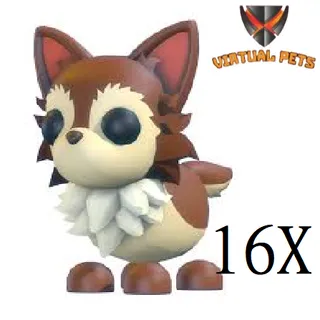 Chihuahua 16X