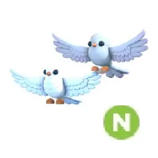 Turtle doves neon