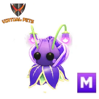 Violet Friend Mega