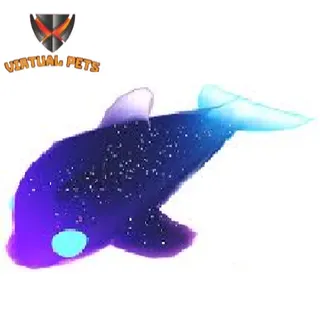 Glormy dolphin
