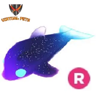 Glormy dolphin R