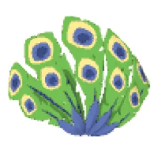 Animal Jam Peacock Feathers