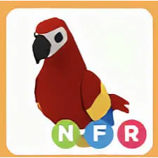 NFR PARROT - ADOPT ME