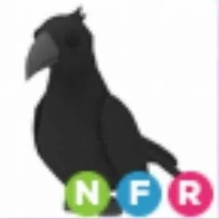 NFR CROW - ADOPT ME