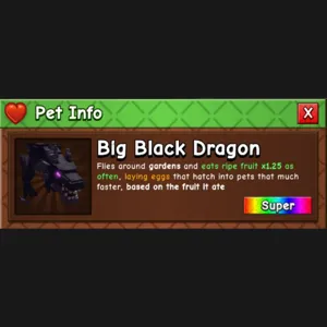 BIG BLACK DRAGON