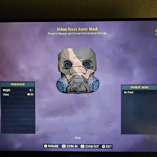 Reverse USA + FSA Mask