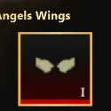  Angel Wing / Angels Wings / Fast Delivery