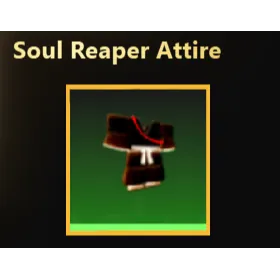 Soul Reaper Attire