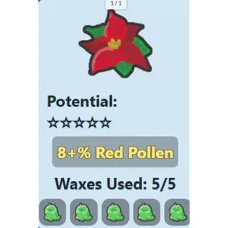 Poinsettia / 8% RP