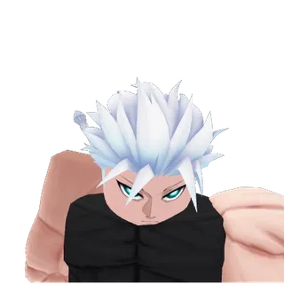  Regnaw Evo