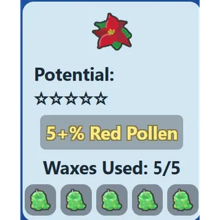 Poinsettia / 5% RP