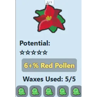 Poinsettia / 6% RP