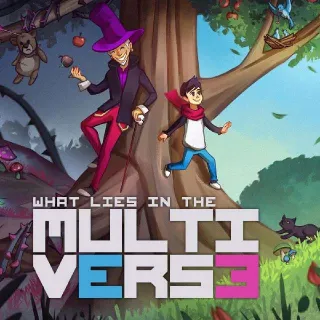 What Lies In The Multiverse