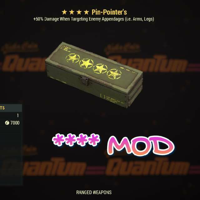 Pin-Pointer's Mod - Fallout 76 Game Items - Gameflip