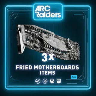 FRIED MOTHERBOARDS 3x | ITEMS