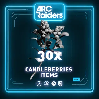 CANDLEBERRIES 30x | ITEM ARC RAIDERS