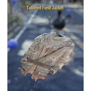 Tattered field jacket 