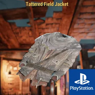 Tattered field jacket 