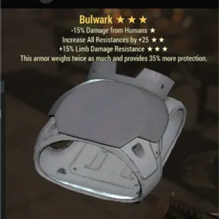 Bulwark