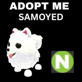 NEON  SAMOYED
