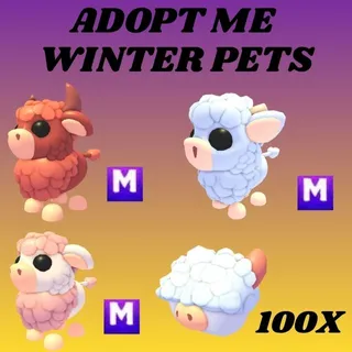 ANGUS BULL 1X MEGA  - ANGUS CALF 1X MEGA - ANGUS COW 1X MEGA - ABERDEEN ANGUS BOX 100X - ADOPT ME 