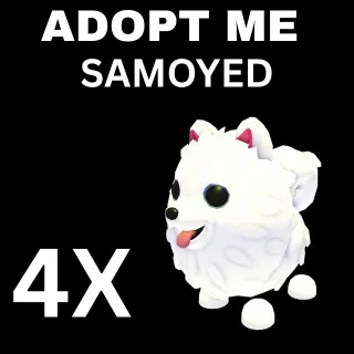 4X  SAMOYED